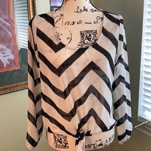 EUC Tea Rose Sheer Blouse
